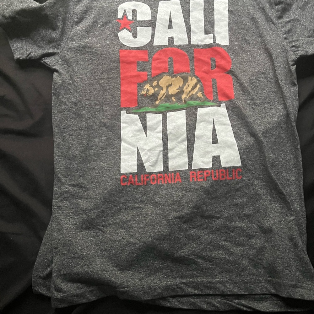 Gray California Republic Graphic T-Shirt